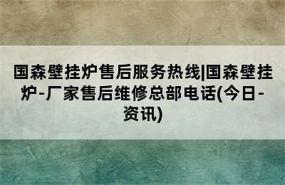 国森壁挂炉售后服务热线|国森壁挂炉-厂家售后维修总部电话(今日-资讯)